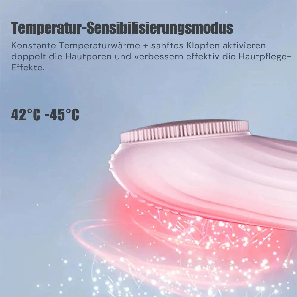 Schall-Reinigungsbürste